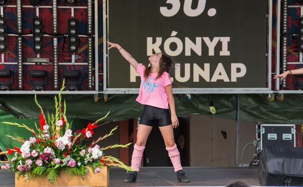 30. Falunap 2019. augusztus 3.