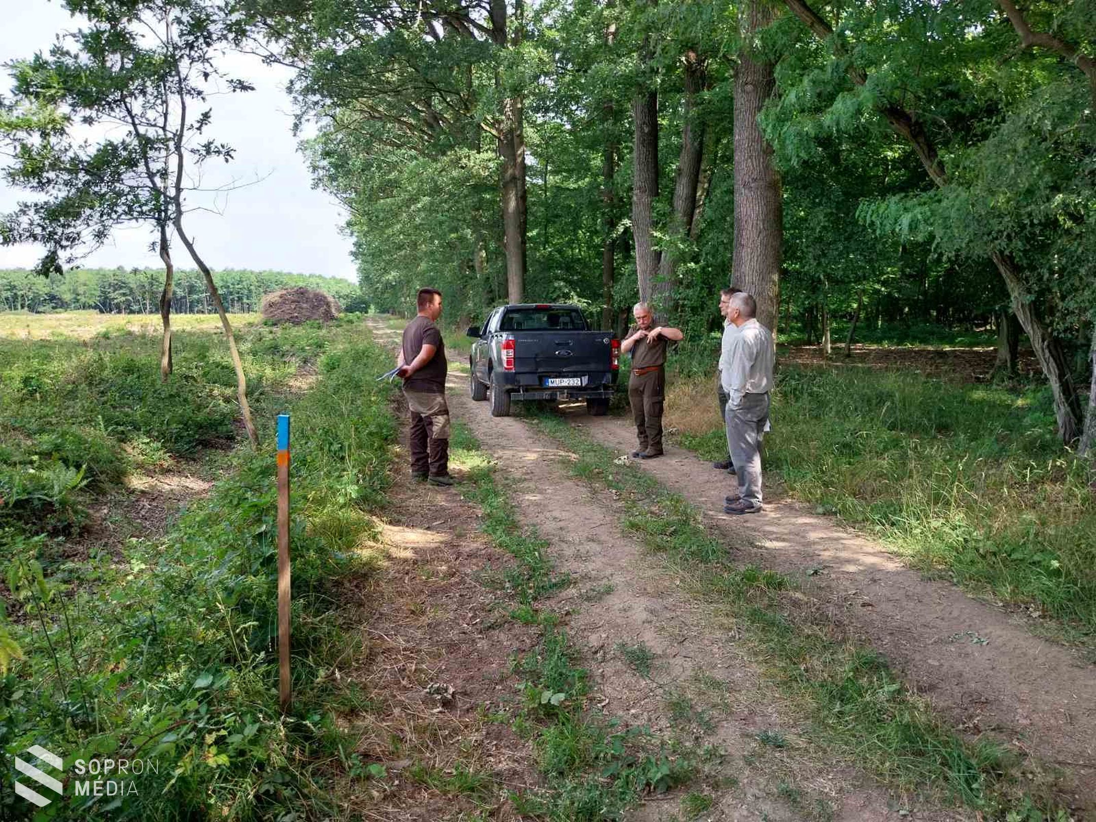Terepi államvizsga az Erdőmérnöki Karon