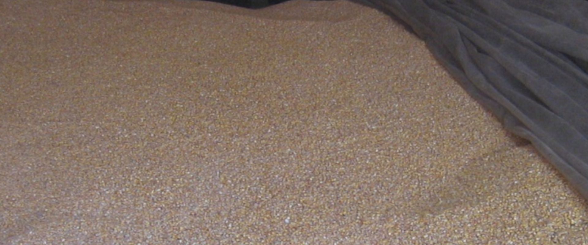 Agrofil-SZMI Kft.