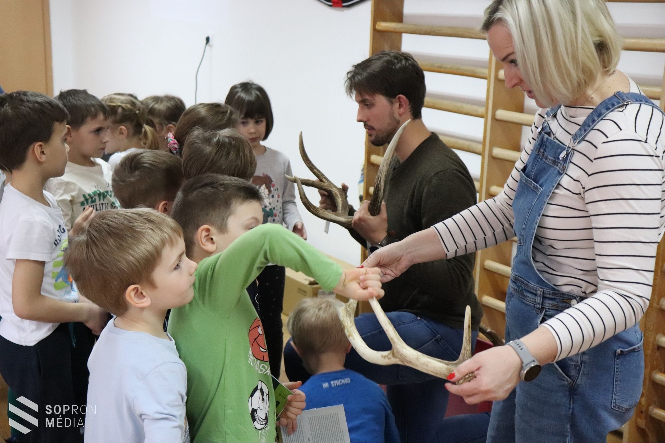 Óvodába ment az erdő