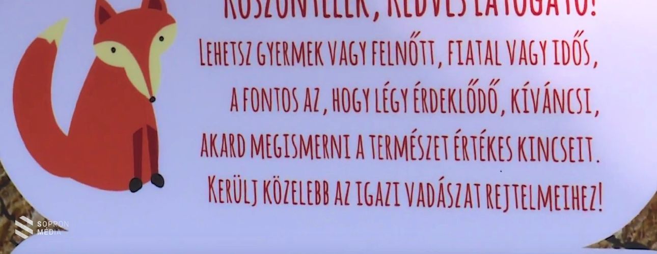 Új tanösvény madárodúkkal, etetőkkel, vadlesekkel a Soproni Parkerdőben