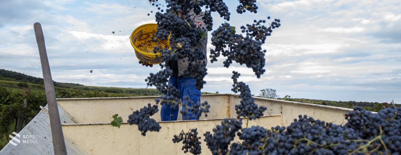 Elindult a Palackposta 2020 borpromóciós kampány