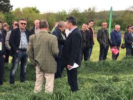 Szántóföldi Takarmánynövények Fajtabemutató 2017 - Paks