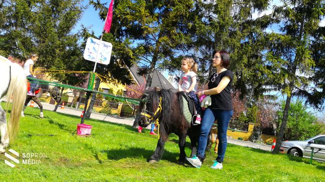 A gyermeknek is számos programmal kecsegtettek