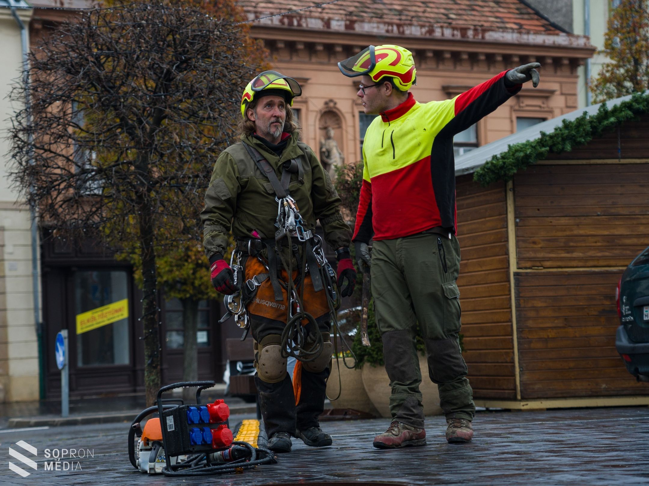 Megérkezett Sopron karácsonyfája