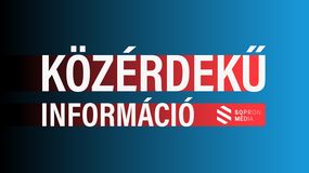Balesetveszélyes fák kivágására kerül sor Sopronban!