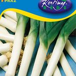 Póréhagyma Winner (áttelelő) 1 g termék képe