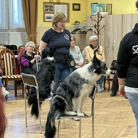 Terápiás kutyák látogattak el a nyugdíjas klub tagjaihoz