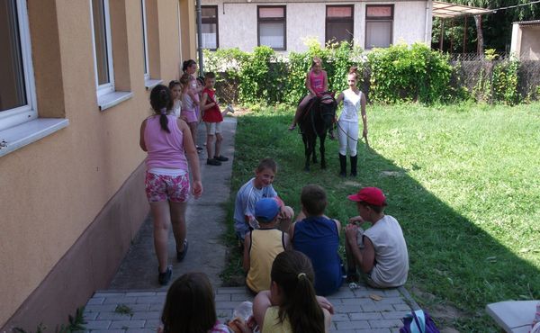 Napközis Tábor 2013