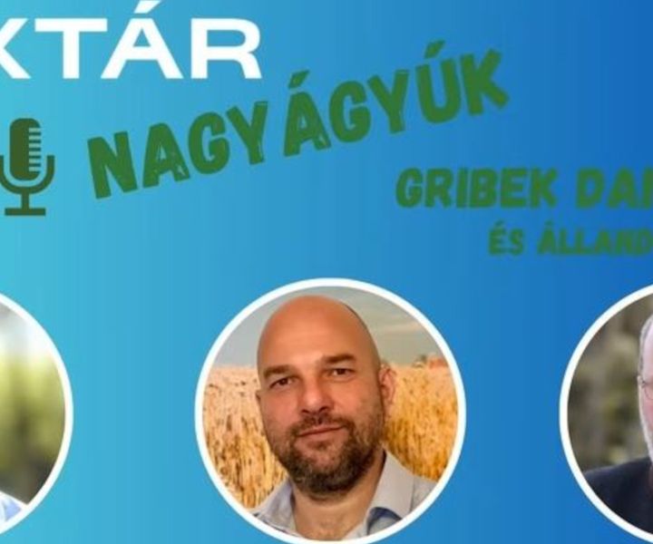 Hektár Nagyágyúk podcast 9.rész