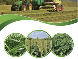 Termék katalógus 2025