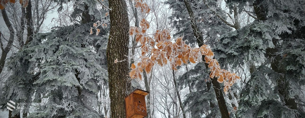 A Kuruc-domb volt az ország leghidegebb pontja