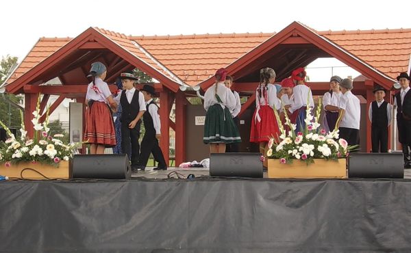 23. Falunap 2012. augusztus 11.