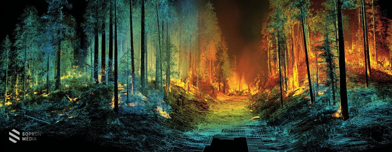 Digitális pajzs az erdőknek: Tűzszimulátort fejlesztett a Soproni Egyetem