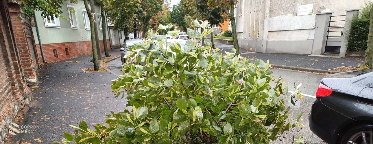 Egyre több gondot okoz a viharos szél