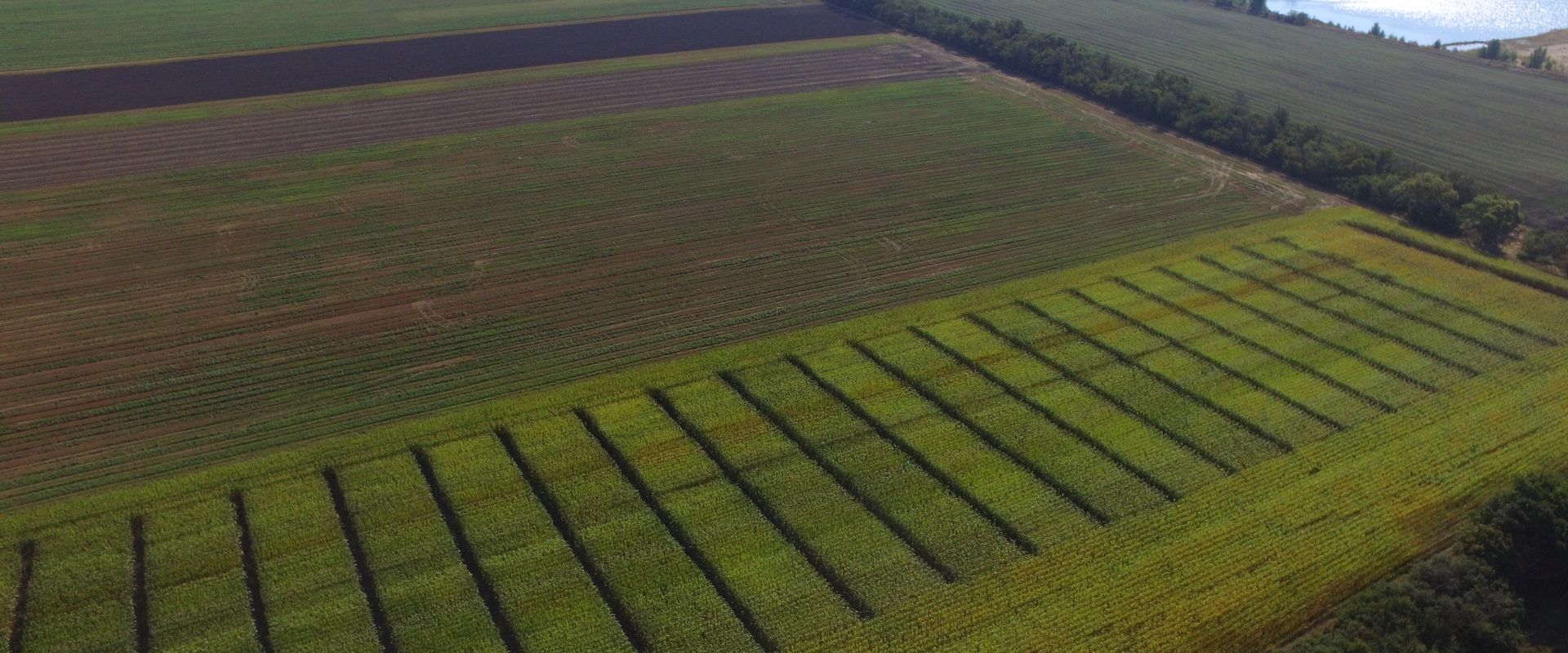 Agrofil-SZMI Kft.
