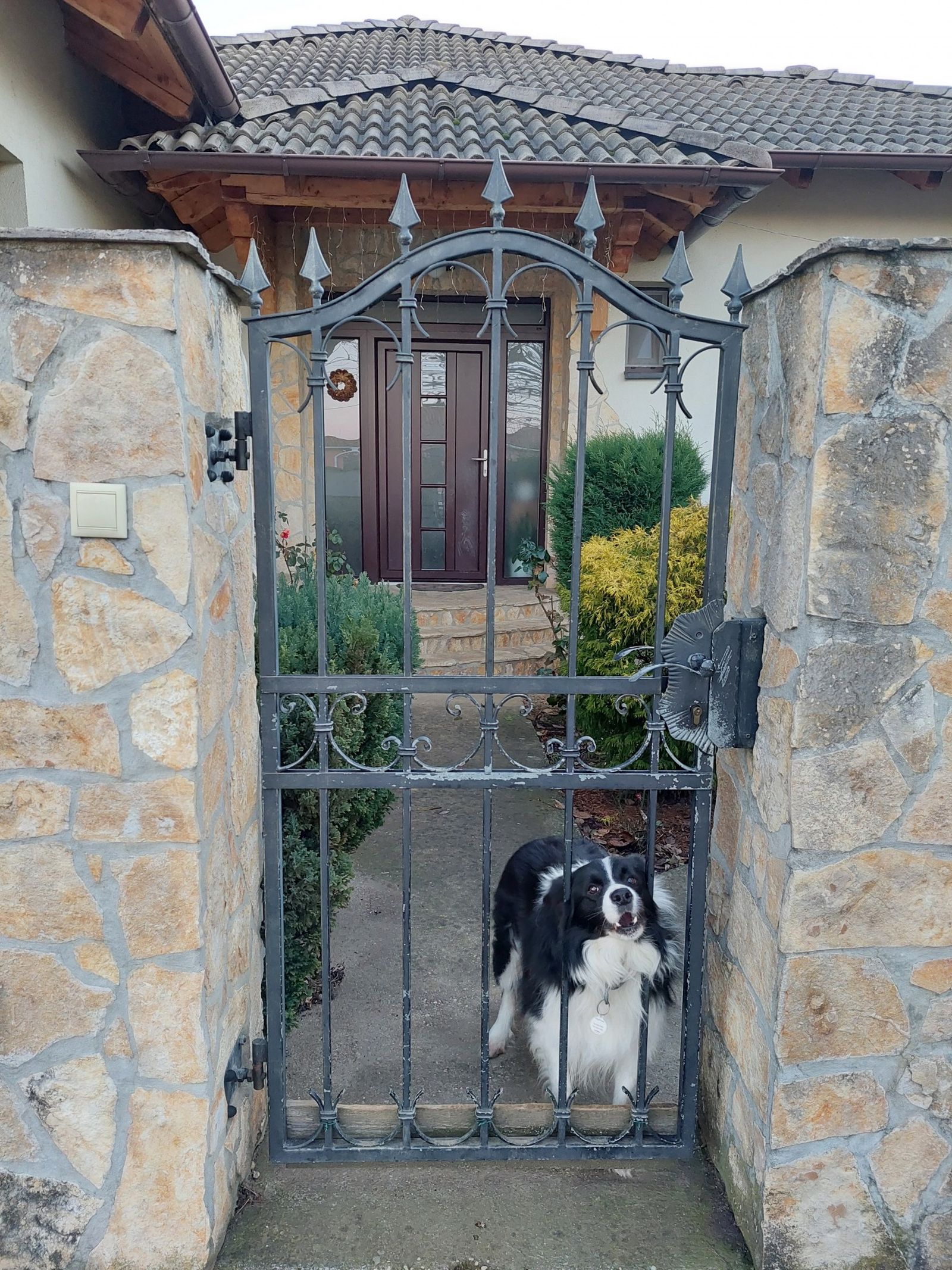 Internorm Morcos Collie háza