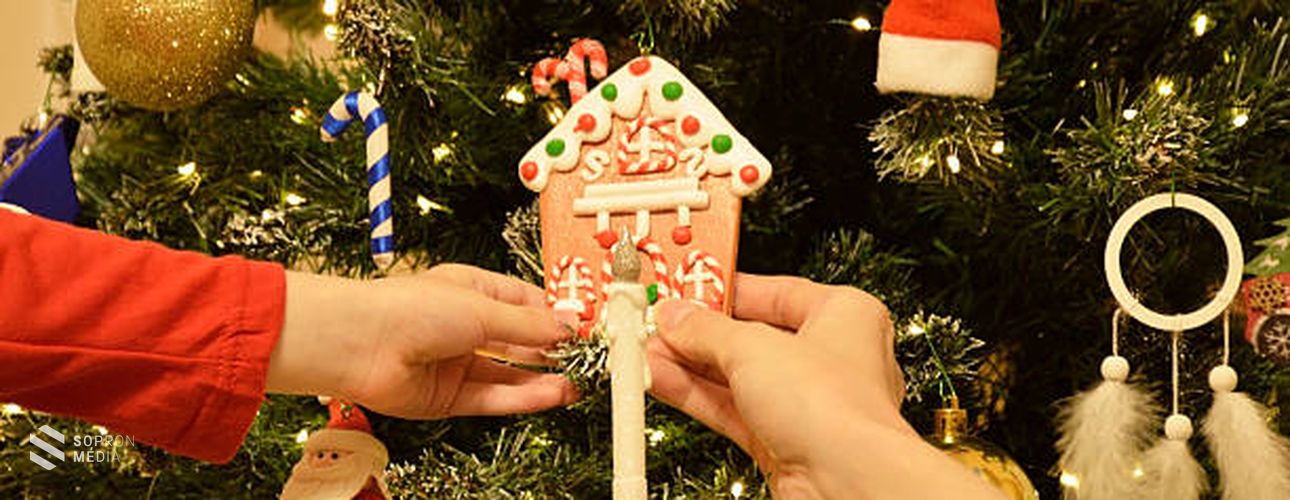 Milyen karácsonyfa divatos idén?