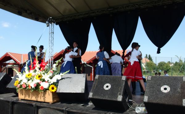 25. Falunap 2014. augusztus 9.