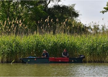 Tisza-tavi Madárrezervátum