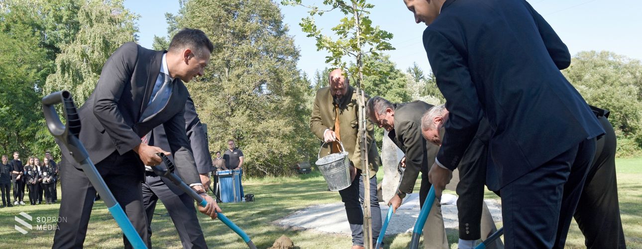 Elültették a Hűségerdő első fáját