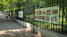 Fénnyel írt kórustörténetek