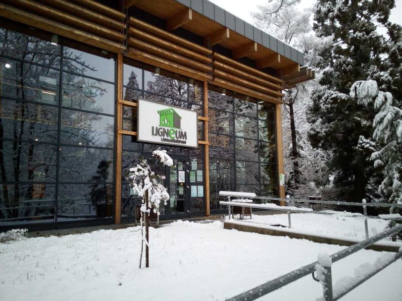 Új sorozat indul a Ligneumban: Tálentum