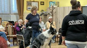 Terápiás kutyák látogattak el a nyugdíjas klub tagjaihoz