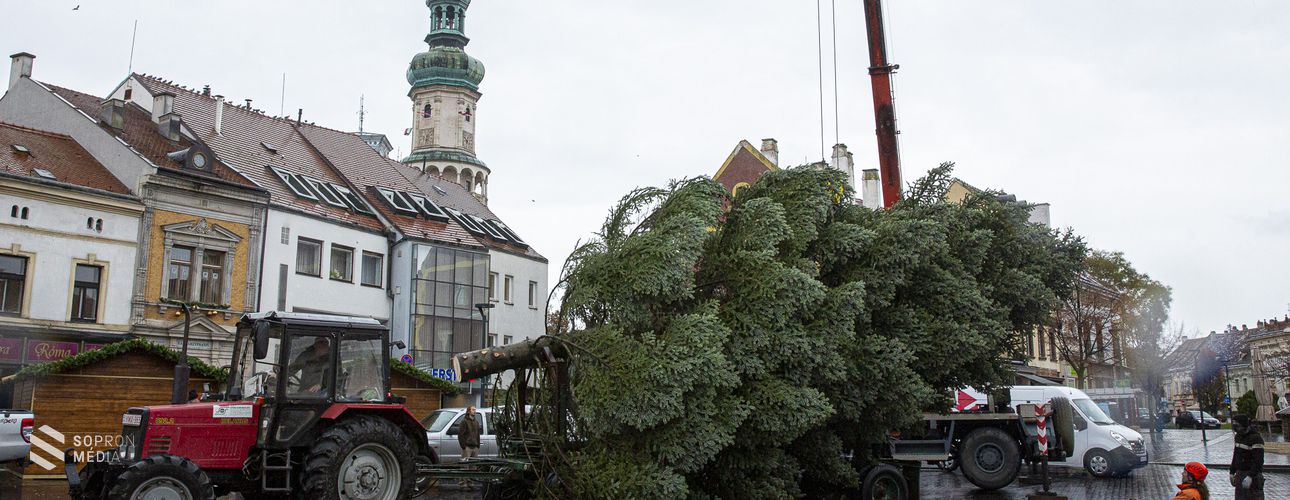 Helyére került Sopron idei karácsonyfája