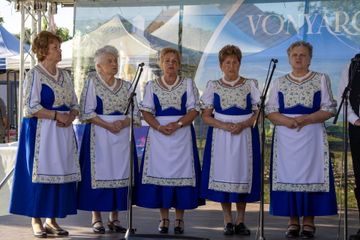 Vonyarcvashegy