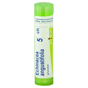 Echinacea angustifolia golyócskák C5 (4g) termék kép