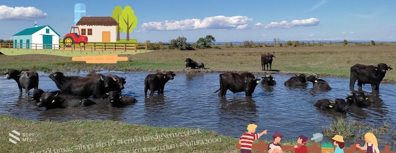 Új korszak a Fertő-Hanság Nemzeti Parkban!