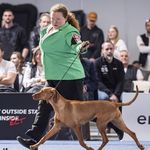 2025.03.30 - Premstatten CACIB 