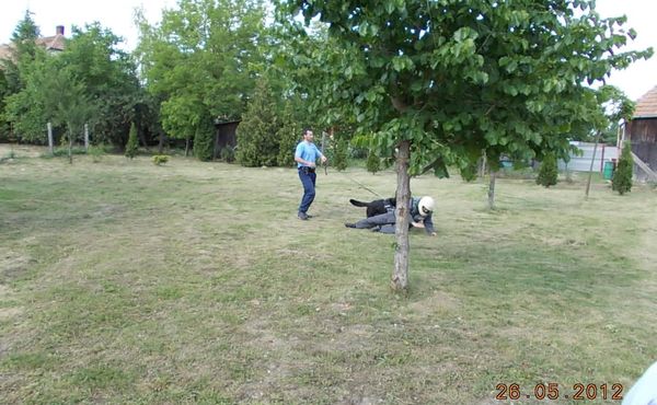 Gyermeknap 2012