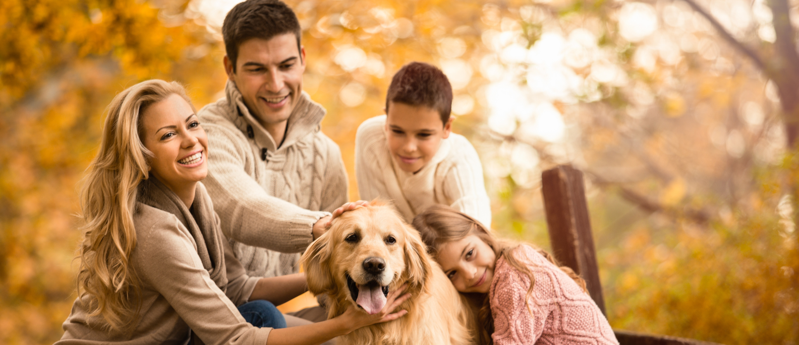 Őszi vitaminpáncél a családnak? Ez egy jó alap! 