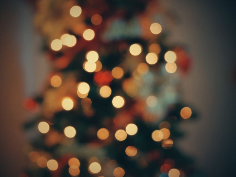 5 érdekesség a Karácsonyfáról