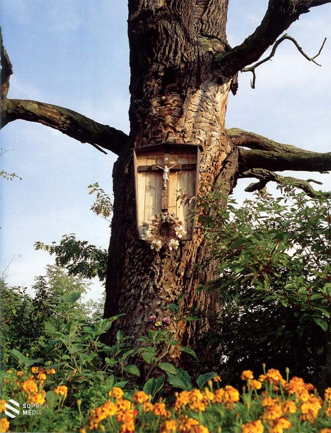 Vitnyéd, „Vöröskép” 