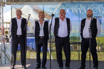 Vonyarcvashegy
