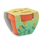 Mini cserepes virág, nefelejcs