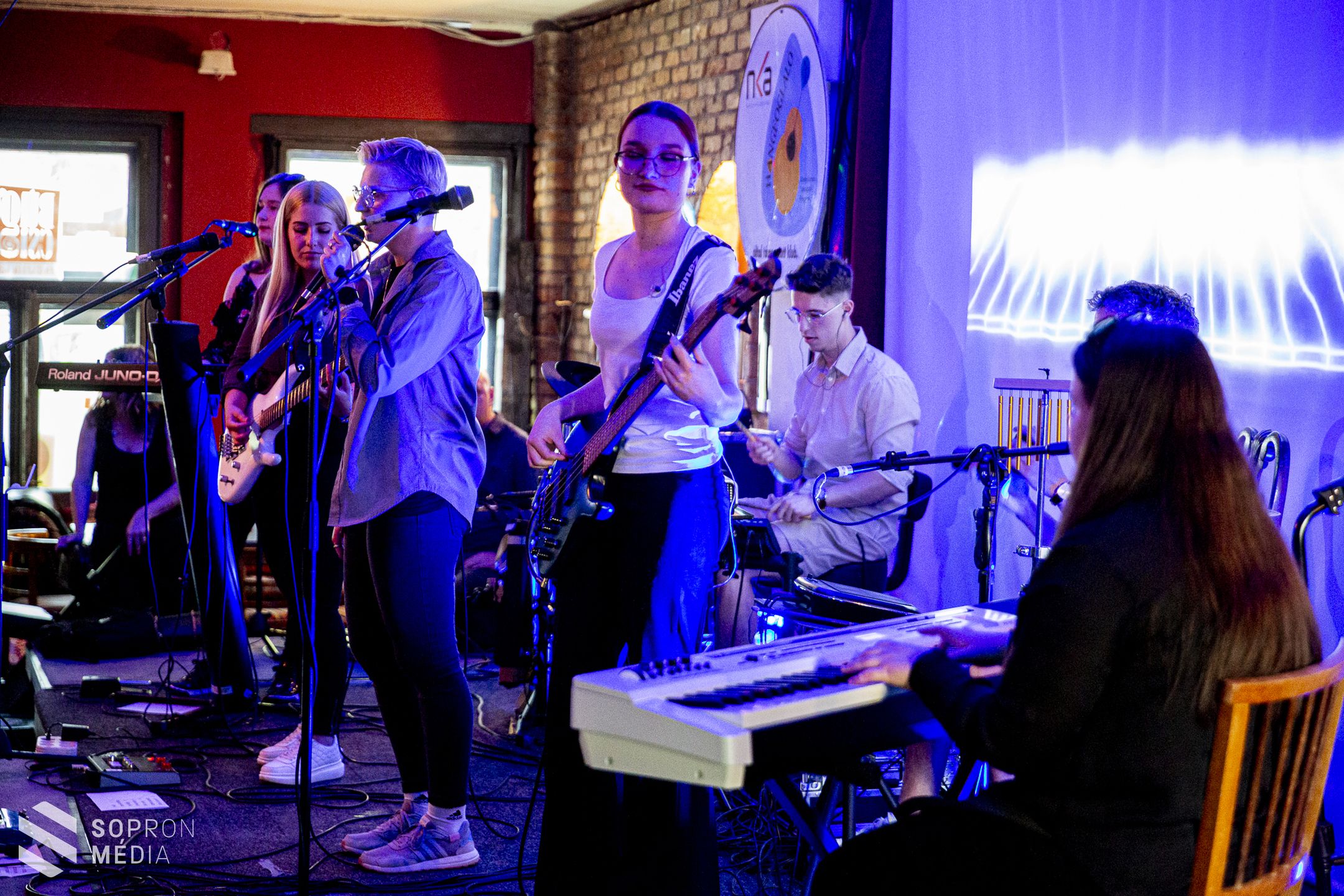 Jótékonysági Lions-Party