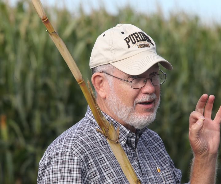 Dr. Robert L. Nielsen, a “Corn Guy” Magyarországon! – Videó