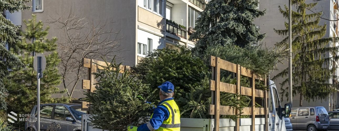 Karácsonyfa-gyűjtőpontok Sopronban