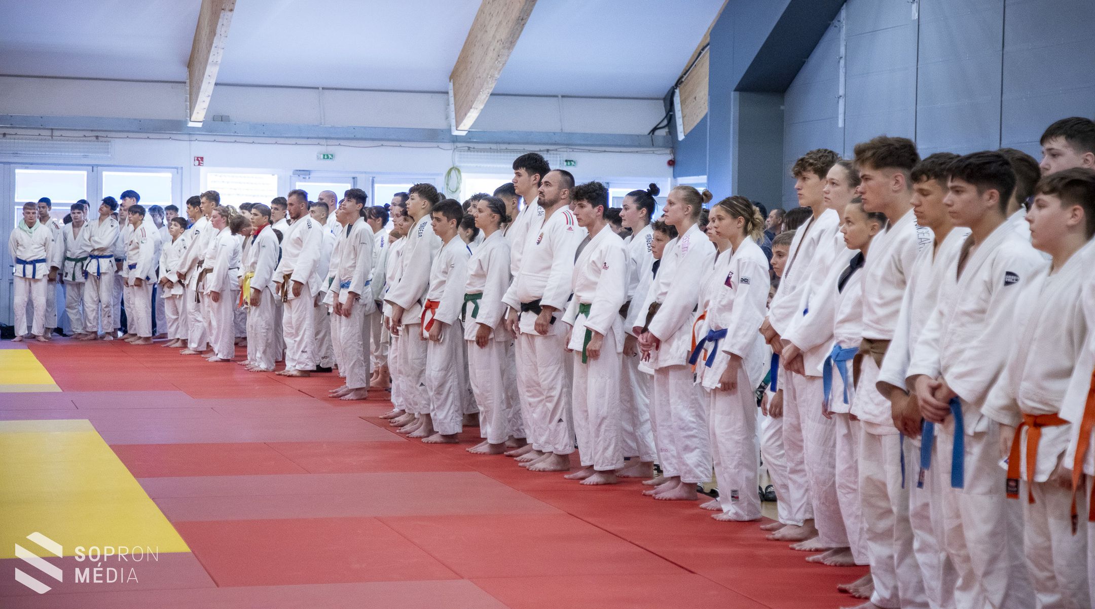A judoé volt a főszerep a Novomatic Arénában