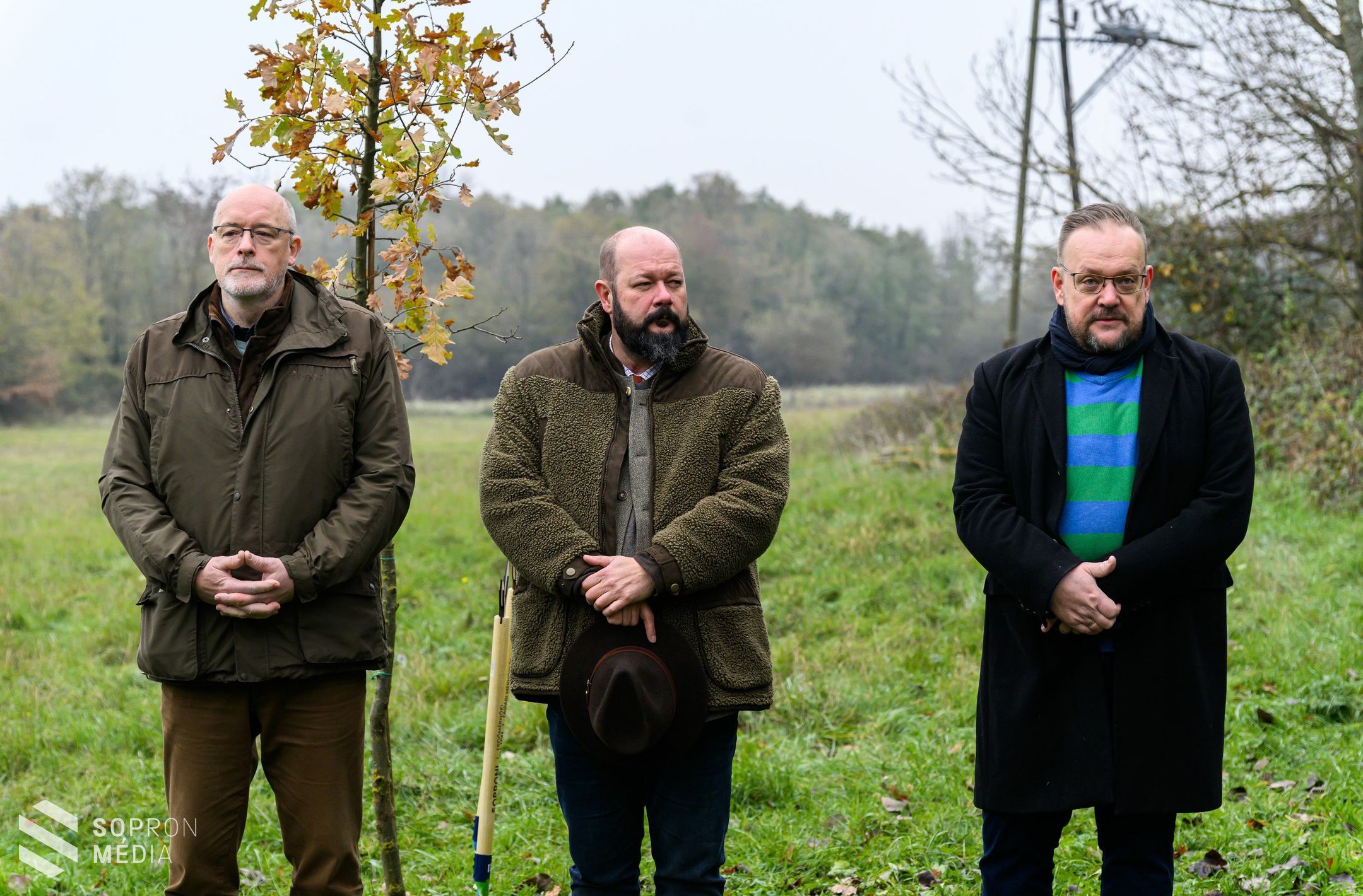 Több mint ezer facsemetét ültettek a Hűségerdőben