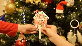 Milyen karácsonyfa divatos idén?