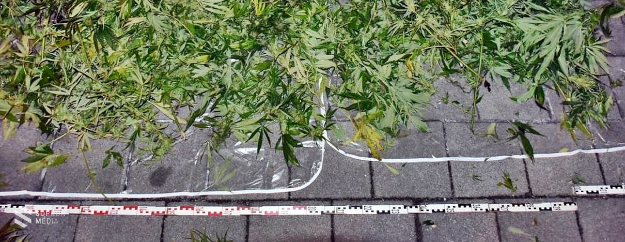 Tankolásnál bukott le mintegy 14 kilogramm kannabisszal