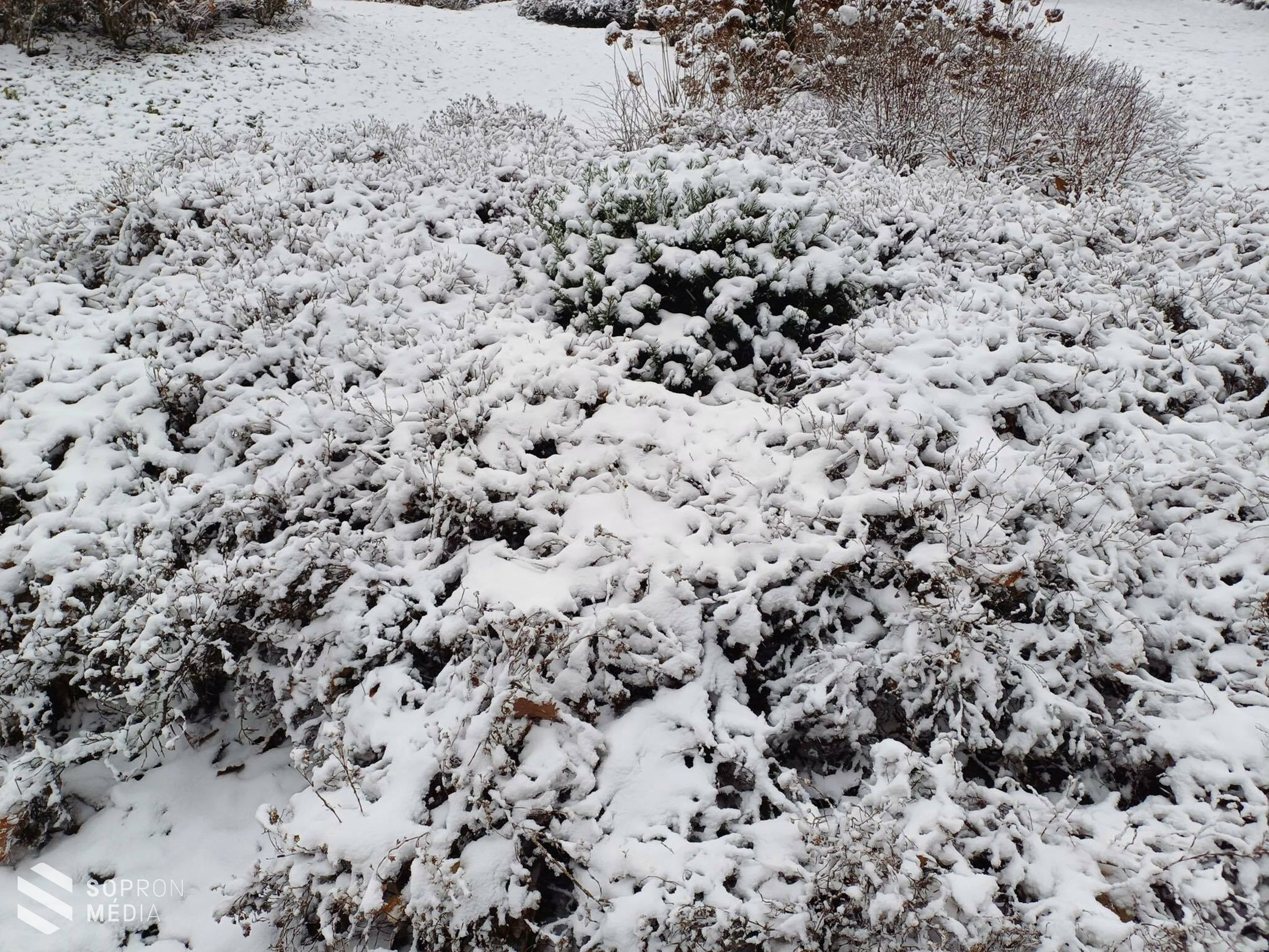 Fehér karácsony Sopronban