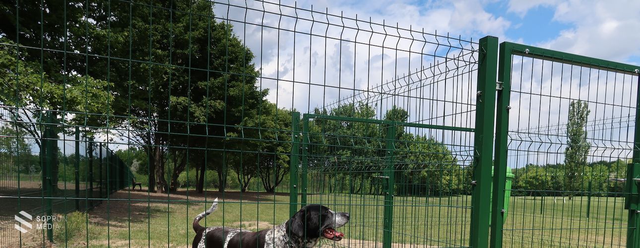 Átadták az új kutyafuttatót a Jerevánon 