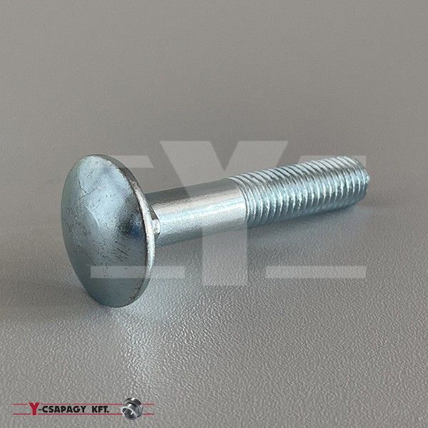 KAPUPÁNT CSAVAR A2 M 10X25