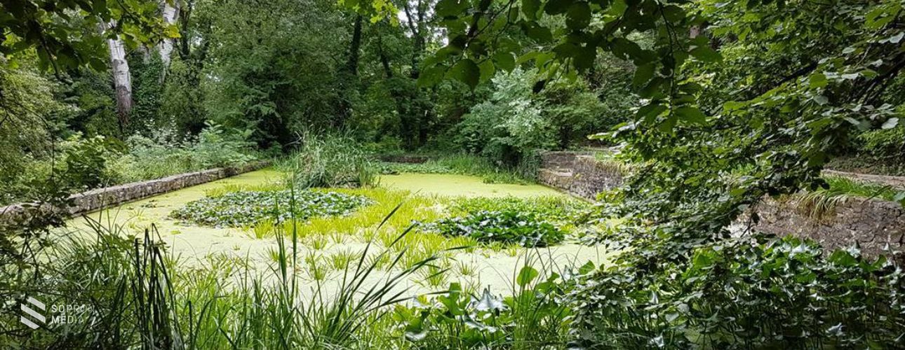 Élménydús programokkal várja a látogatókat a Soproni Egyetem botanikus kertje